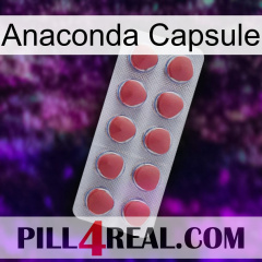 Anaconda Capsule 18